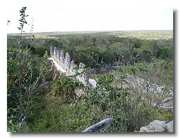 2005 01 18 13 Uxmal Dovecot from top of the oldest pyramid